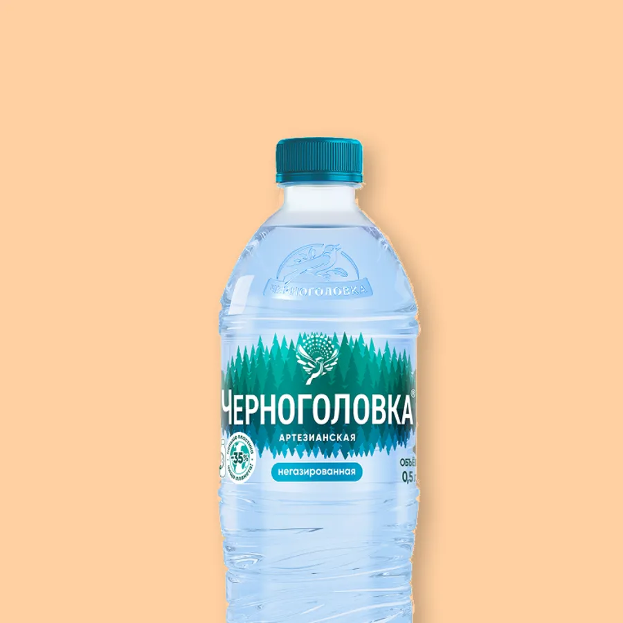 Вода негазированная Черноголовка 